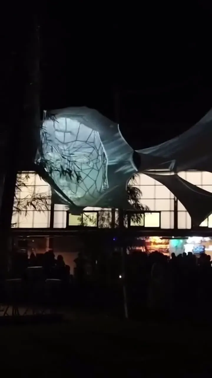 Vue nocturne de l'installation au festival Topatopia